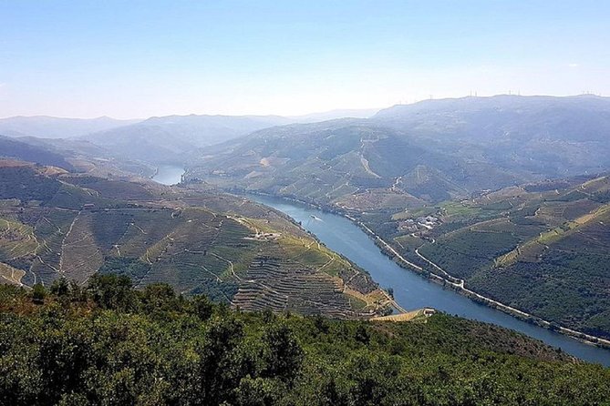 Douro Valley: private tour with lunch and wine estate all inclusive - Who Your Guide Might Be—and Why That Matters