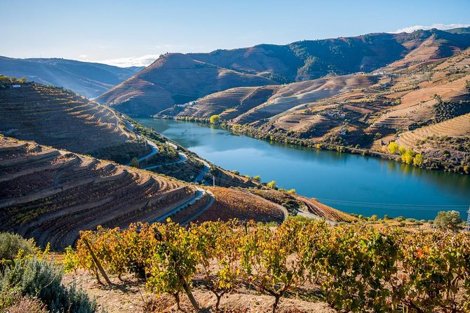 Douro Valley: private tour with lunch and wine estate all inclusive - Lunch in the Douro: local food, drinks included, and options