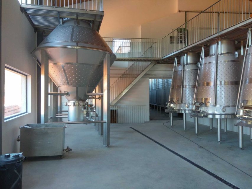 Douro Valley: Quinta de S. Luiz Winery Tour and Tasting - Key things to know before you go