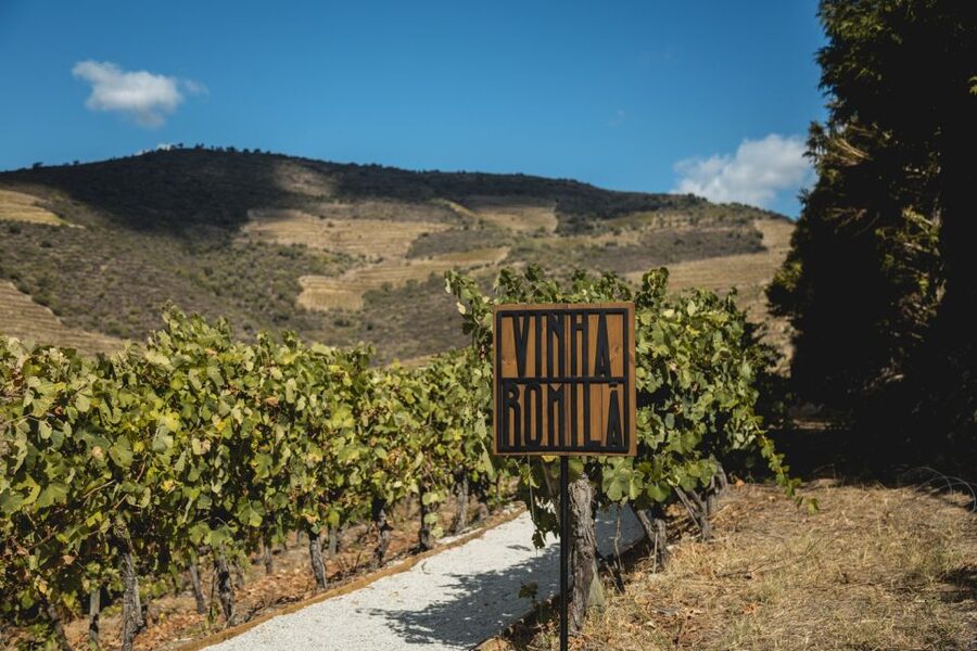 Douro Valley: Quinta de S. Luiz Winery Tour and Tasting - Price and value: is $25 fair for a 1-hour Port session?