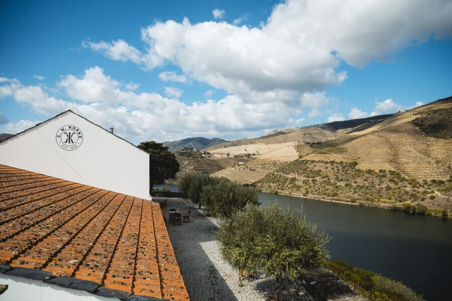 Douro Valley: Quinta de S. Luiz Winery Tour and Tasting - The terrace option: when the view is the main course