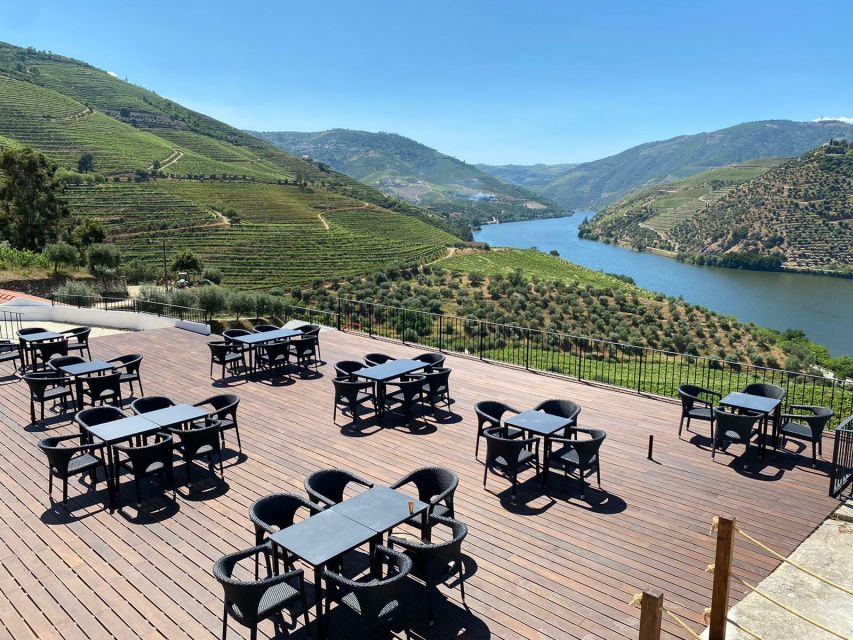 Douro Valley: Quinta de S. Luiz Winery Tour and Tasting - Classic vs premium tasting: how to choose the right session