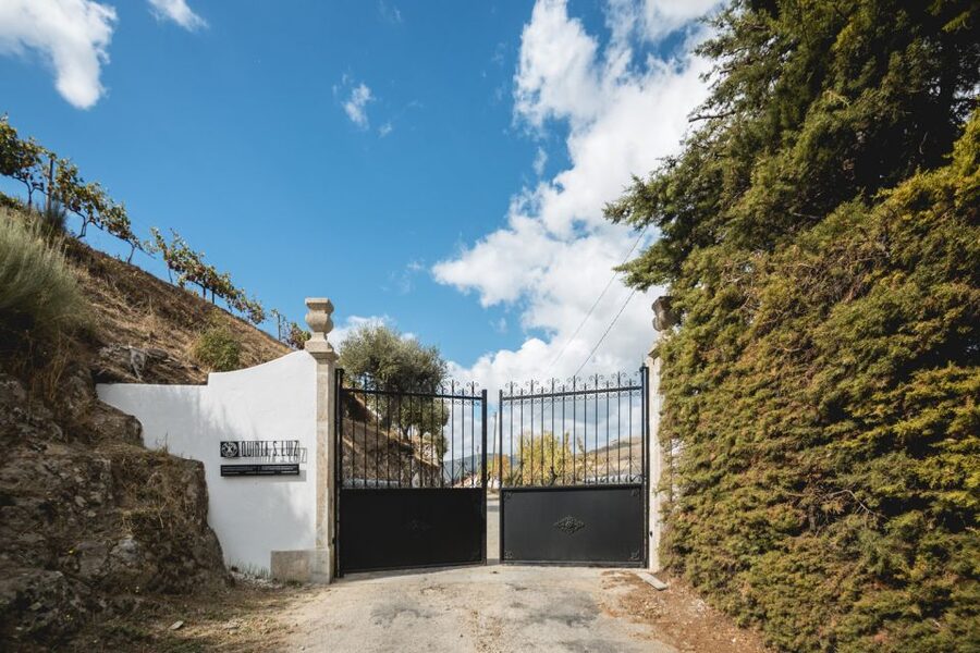 Douro Valley: Quinta de S. Luiz Winery Tour and Tasting - Learning the winemaking story: growing, harvesting, and crafting wine