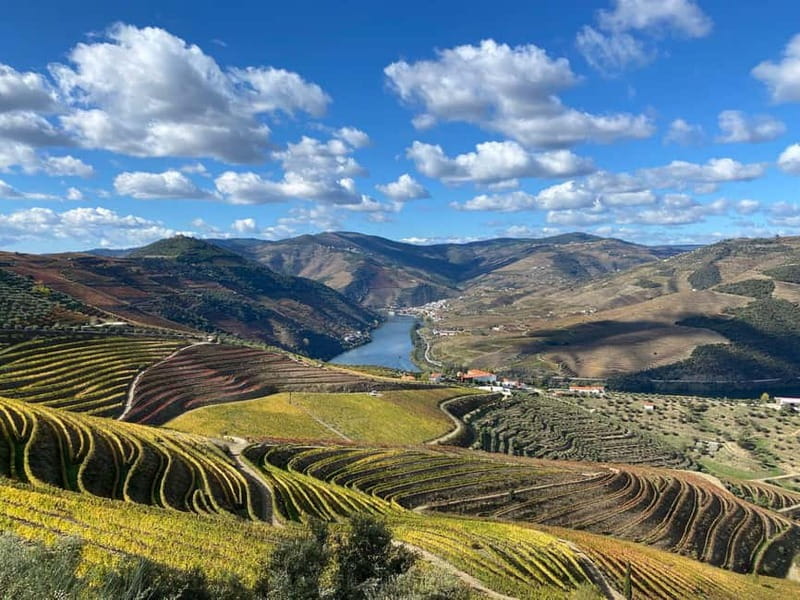 Douro Valley: Small-Group Tour, Winery's Lunch, Private Boat - Wine tasting strategy: 10 tastings without feeling chaotic