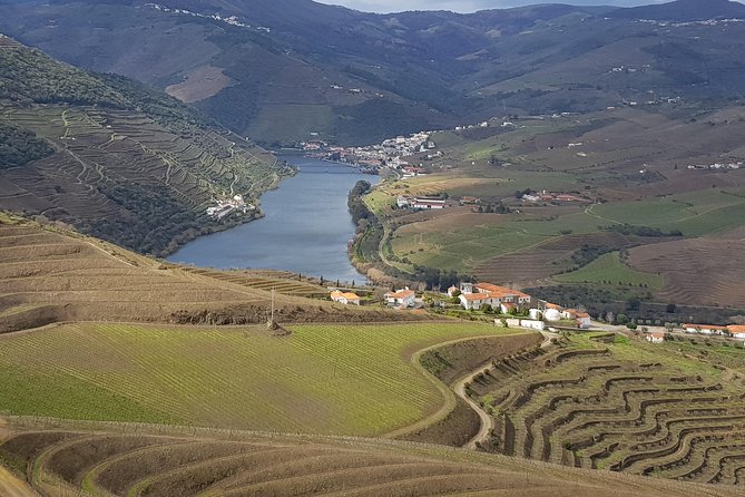 Douro Valley Tour: 2 Vineyard Visits, River Cruise, Winery Lunch - Porto To Douro Valley: The Morning Run That Sets the Tone