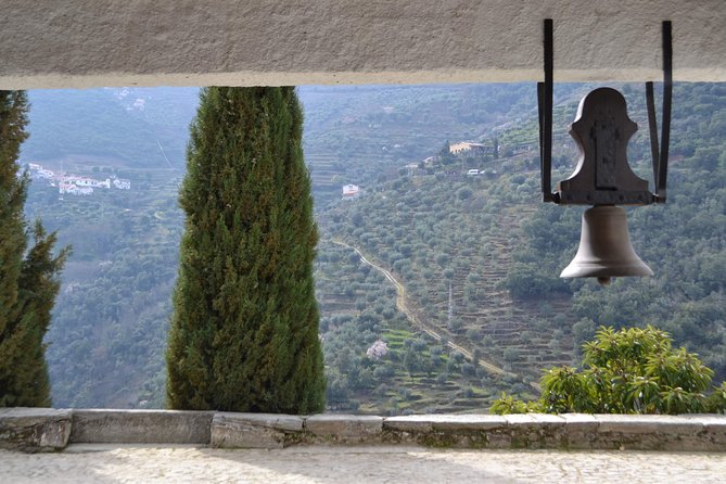 Douro Valley Tour: 2 Vineyard Visits, River Cruise, Winery Lunch - Wine Tastings Without the Hard Sell Energy