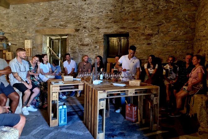 Douro Valley Vineyard Visits Wine Tasting Boat Ride and Lunch - A Day In The Douro: Smooth Logistics, Real Tasting Time