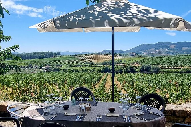 Douro Valley Vineyard Visits Wine Tasting Boat Ride and Lunch - Sabrosa Lunch at an Estate: Wine Tasting Meets a Proper Meal