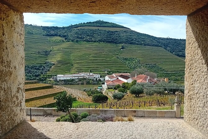 Douro Valley Vineyard Visits Wine Tasting Boat Ride and Lunch - Peso da Régua Finale: Vineyards and a Second Round of Tasting