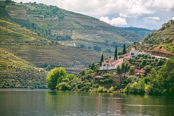 Douro Valley Vineyard Visits Wine Tasting Boat Ride and Lunch - The Morning Drive: Your Intro to Douro Valley