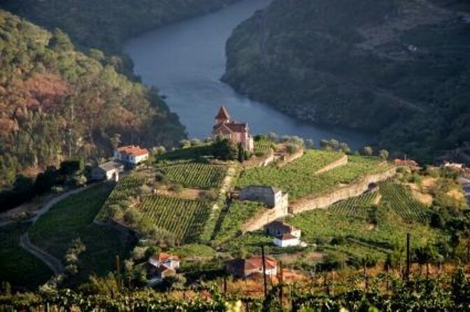 Douro Valley Wine Tour: 3 Vineyard Visits, Wine Tastings, Lunch - Quick Hits: What Makes This Douro Day Work
