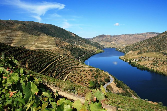 Douro Valley Wine Tour: 3 Vineyard Visits, Wine Tastings, Lunch - Douro in One Long Day: The Real Point of This Tour