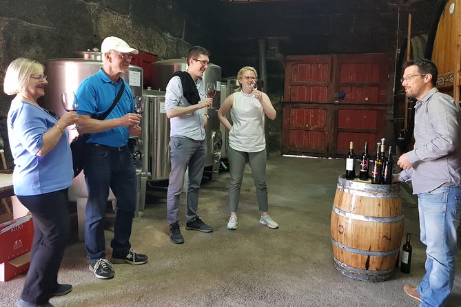 Douro Valley Wine Tour: 3 Vineyard Visits, Wine Tastings, Lunch - Stop 2 in Folgosa: Centuries-Old Estate Tour and Port Flights