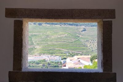 Douro Valley Wine Tour: 3 Vineyard Visits, Wine Tastings, Lunch - Stop 1 in Lamego: Family Vineyard Views and a DOC Tasting