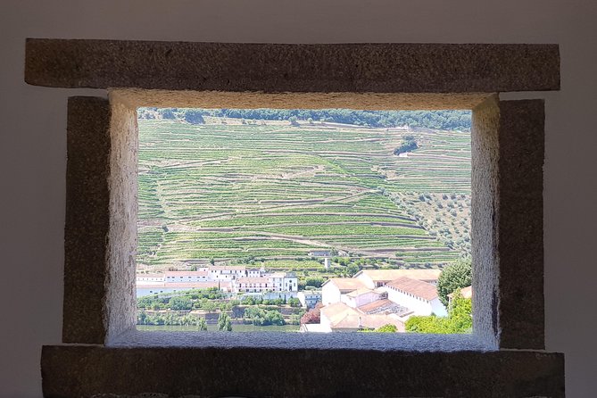 Douro Valley Wine Tour: 3 Vineyard Visits, Wine Tastings, Lunch - Stop 1 in Lamego: Family Vineyard Views and a DOC Tasting
