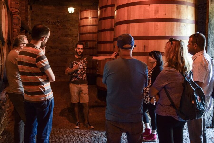 Douro Valley: Winery Tour at Quinta do Tedo and Tastings - Before you go: languages, meeting point, and how scheduling works