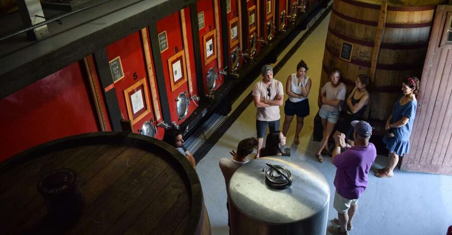 Douro Valley: Winery Tour at Quinta do Tedo and Tastings - Lagares, old cellars, bottling, and hand-labeling: what you learn before you taste