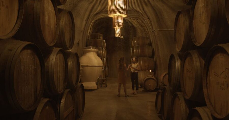 Douro Valley: Winery Tour at Quinta do Tedo and Tastings - The tasting in the renovated 18th-century room