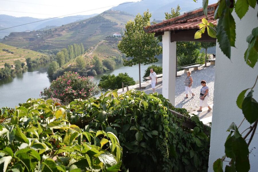 Douro Valley: Winery Tour at Quinta do Tedo and Tastings - Organic grapes and Class A vineyards: what that rating means in plain terms