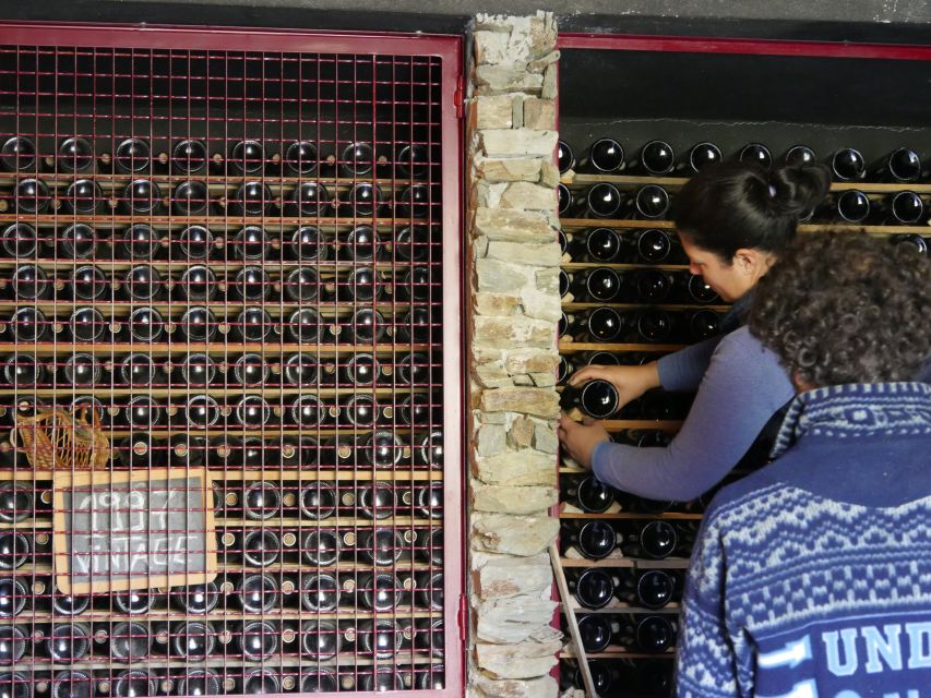 Douro Valley: Winery Tour at Quinta do Tedo and Tastings - Price and timing: does $42 buy enough wine education?