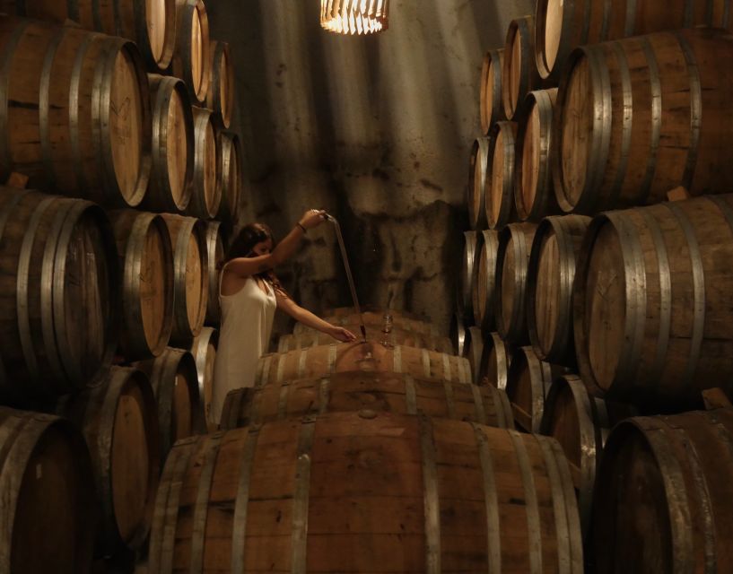 Douro Valley: Winery Tour at Quinta do Tedo and Tastings - Who should book this Quinta do Tedo tour