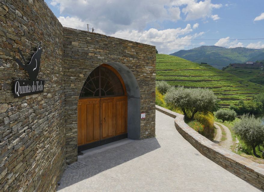 Douro Valley: Winery Tour at Quinta do Tedo and Tastings - The guided tour: vineyards, olive orchards, and real estate farming