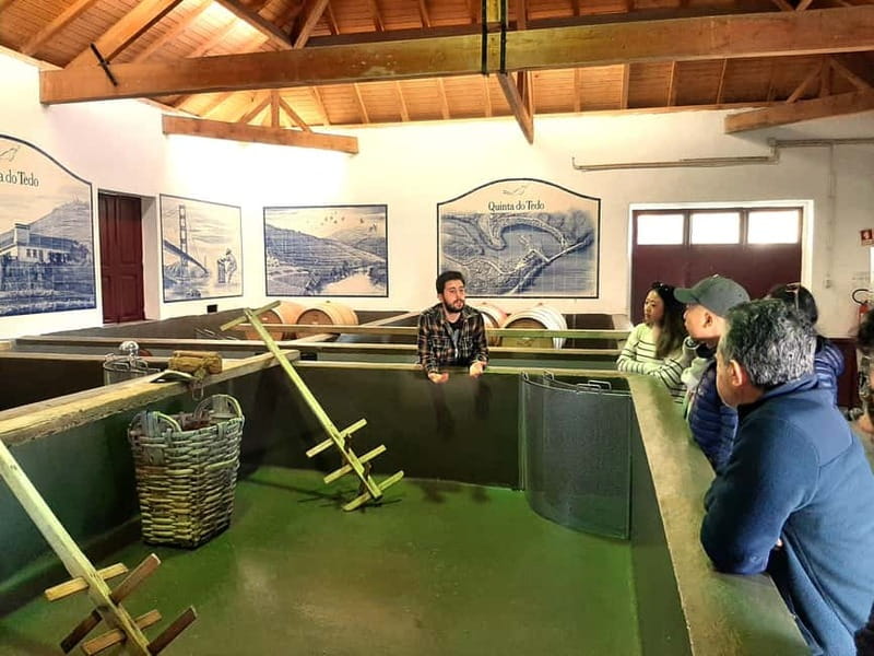 Douro Valley: Winery, Traditional Lunch & Private Boat Trip - Traditional lunch on open fire: why this is the meal people remember