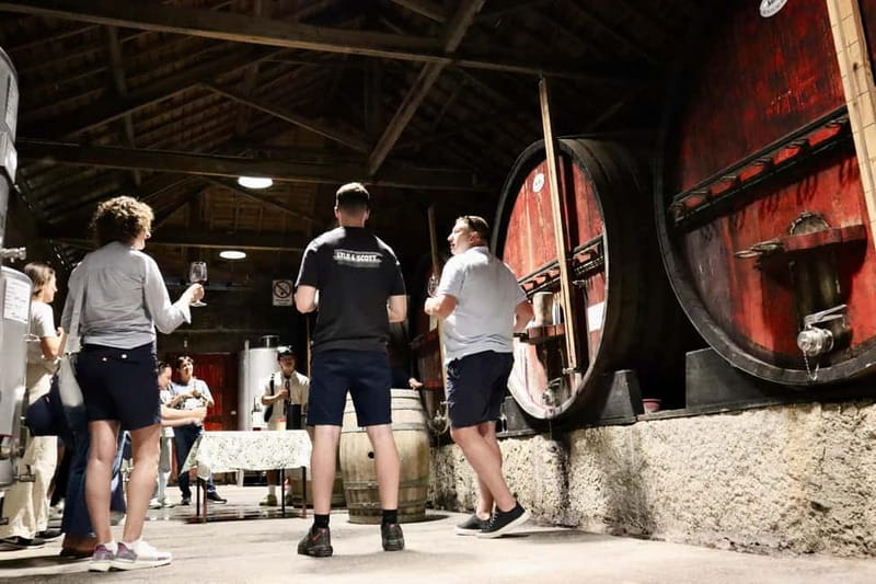 Douro Valley: Winery, Traditional Lunch & Private Boat Trip - Second vineyard stop and final tastings: Port, extra table wines, and a shopping chance