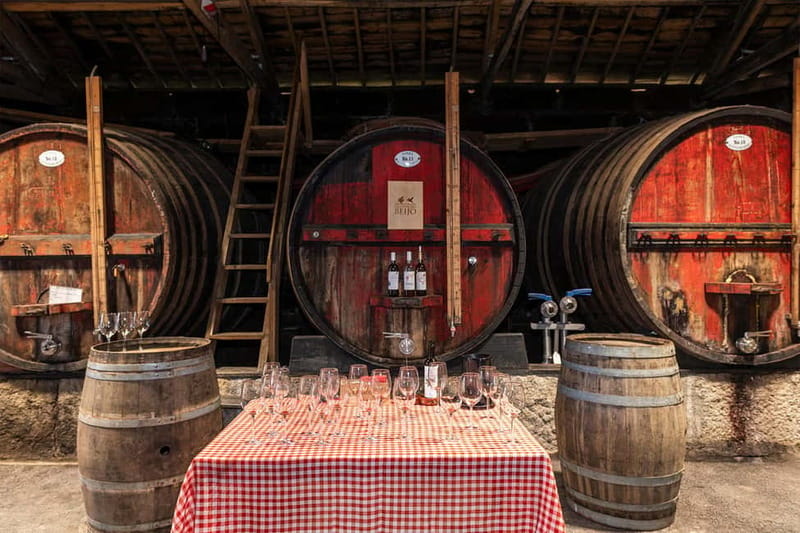 Douro Valley: Winery, Traditional Lunch & Private Boat Trip - What you learn (and how your guide turns it into a better day)