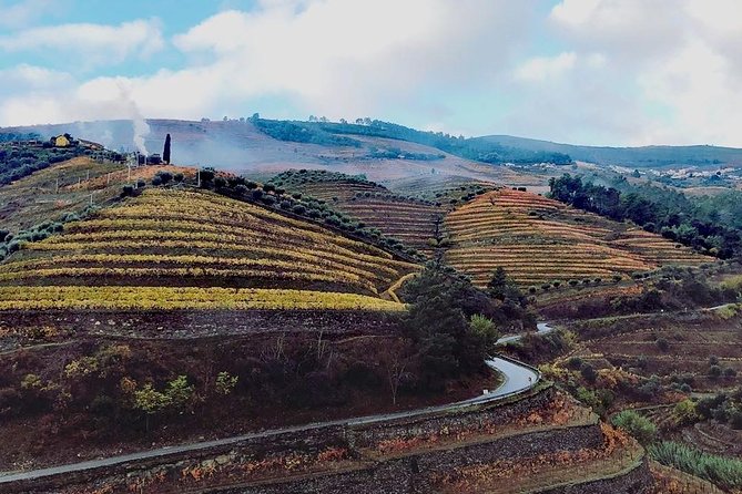 Douro Valley with Two Winery, Boat Trip and Lunch From Porto - Key highlights to look for