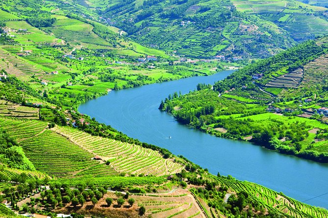 Douro Valley with Two Winery, Boat Trip and Lunch From Porto - Why this Douro Valley day trip works so well from Porto