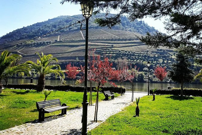 Douro Valley with Two Winery, Boat Trip and Lunch From Porto - Amarante first stop: bridge-town views and a pastry break