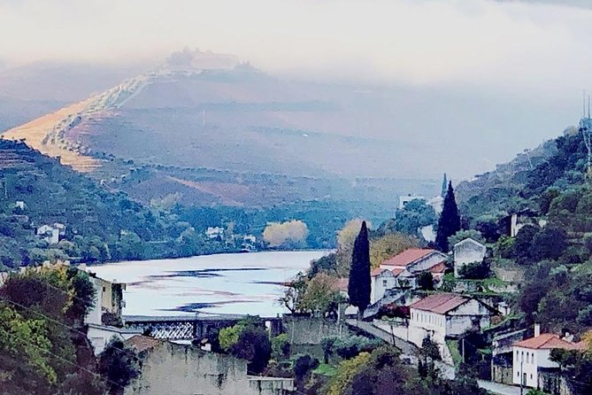 Douro Valley with Two Winery, Boat Trip and Lunch From Porto - Port wine estates and two winery visits in the Douro