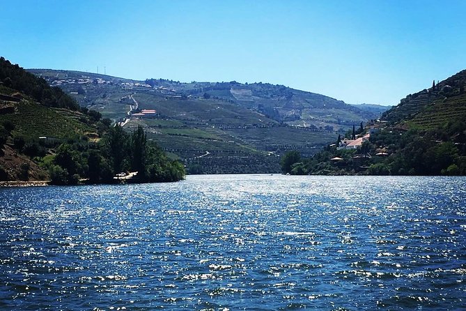 Douro Valley with Two Winery, Boat Trip and Lunch From Porto - Rabelo boat cruise: 50 minutes of Douro scenery from the water