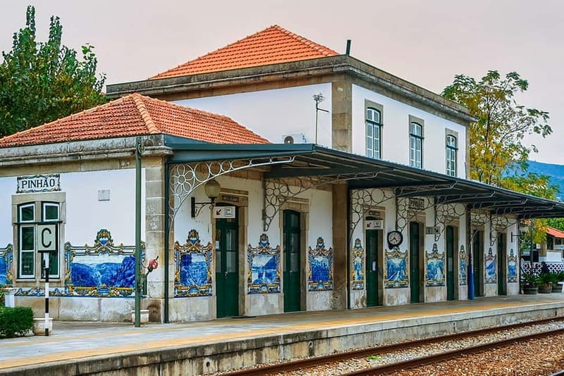 Douro Valley with Two Winery, Boat Trip and Lunch From Porto - Olive oil museum and small family producer: more than wine