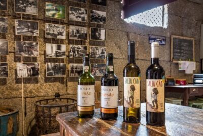 Douro Wine Tasting at a Family Winery in Portugal - The 150-year-old winery: where the lesson becomes real