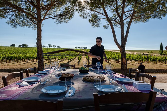 DRINK&FOOD: Private Vineyard and Winery Tour with Tasting - Key highlights