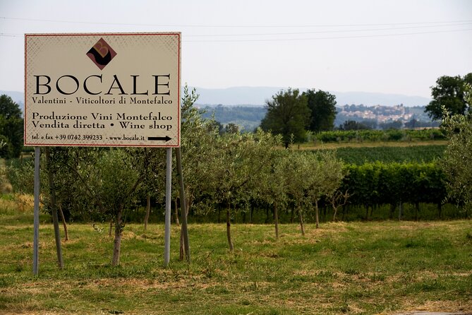 DRINK&FOOD: Private Vineyard and Winery Tour with Tasting - Inside vinification and aging rooms: seeing the real work