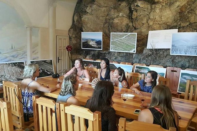 Dubrovnik & Peljesac (Ston & winery) 7-8h PRIVATE SHORE TOUR - Who this tour suits best