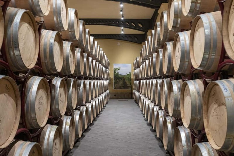 Duca di Salaparuta: Tour of the winery and wine tastings - What makes Duca di Salaparuta’s wine program feel different