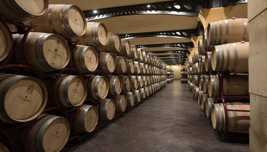 Duca di Salaparuta Winery : Tour Doc Sicily - Key points to know before you go