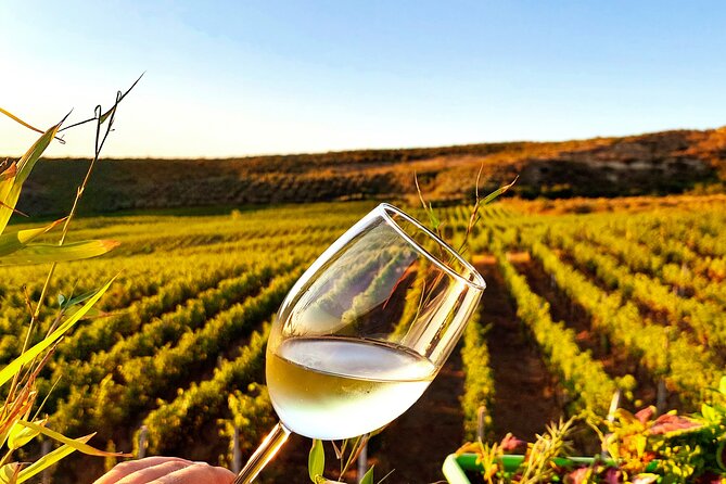 Durrës Countryside Vineyard Experience with Wine & Food Pairing - Getting there: pickup, shared transport, and how the day starts