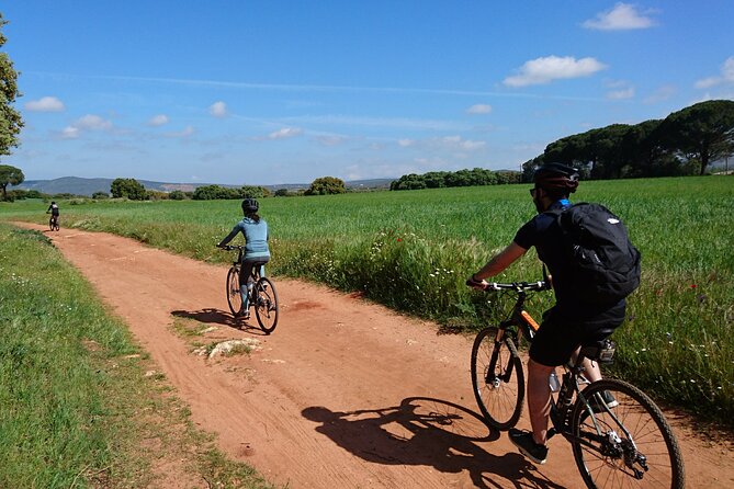 e-Bike (Self-Guided) & Winery tour - 20km Easy - Meeting at Parking Saba and getting set up on e-bikes