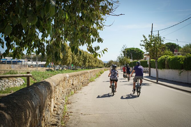 Ebike Tour, Winery, Wine Tasting & Sailing Experience(car option) - Timing and pacing: how the 6 hours actually feel