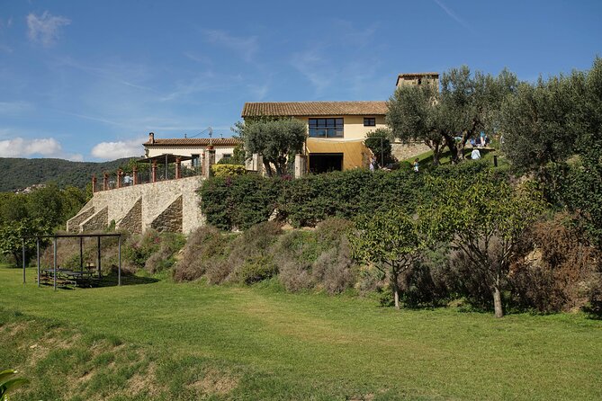 Ebike Tour, Winery, Wine Tasting & Sailing Experience(car option) - Price and value: why $108 can feel fair for Barcelona