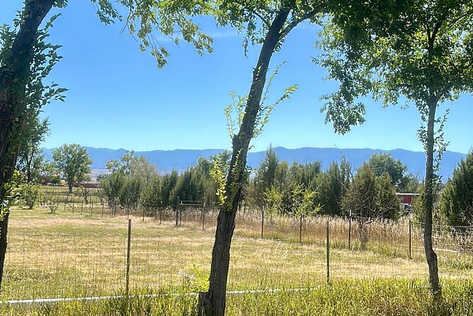 EBIKE Winery Tour in Penrose, Colorado: Penrose Uncorked - The ride between stops: why e-bikes change the whole day