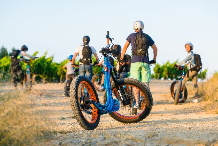 Electric Scooter Tour of our vineyard and Wine Tasting - What makes this visit feel different from a standard tasting