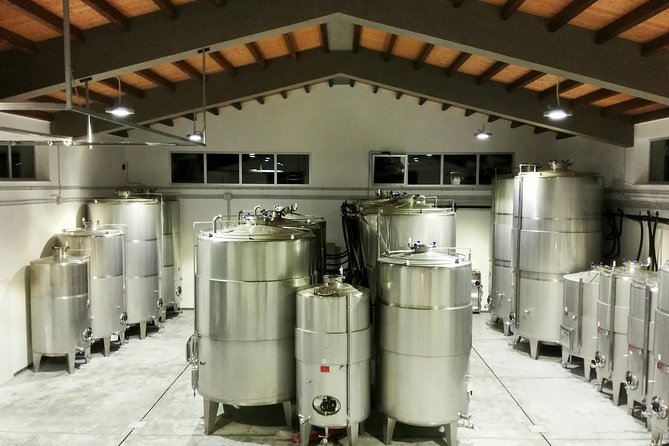 Embark on a Sicilian Wine Journey - Key highlights you should care about