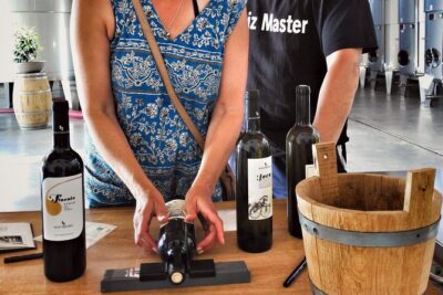 Embark on a Sicilian Wine Journey - The 3-wine tasting plus snacks: how to get the most from it