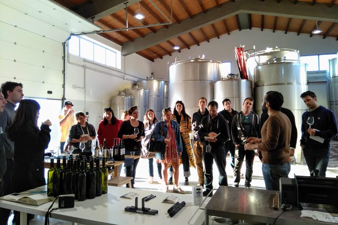 Embark on a Sicilian Wine Journey - Quattrocieli location and 4:30 pm timing: plan smart